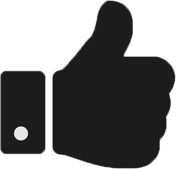 Si El Producto No Le Sale Bueno Se Lo Sustituimos O - Thumbs Up Icon Svg (600x577)