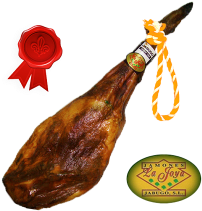 Jamon Bellota Jabugo - Jamón Ibérico (458x458)