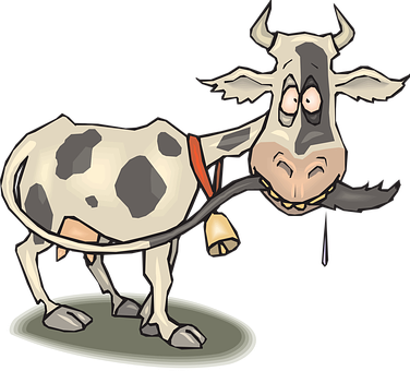 Cow Crazy Animal Tail Drooling Chewing Cra - Mad Cow Clip Art (376x340)
