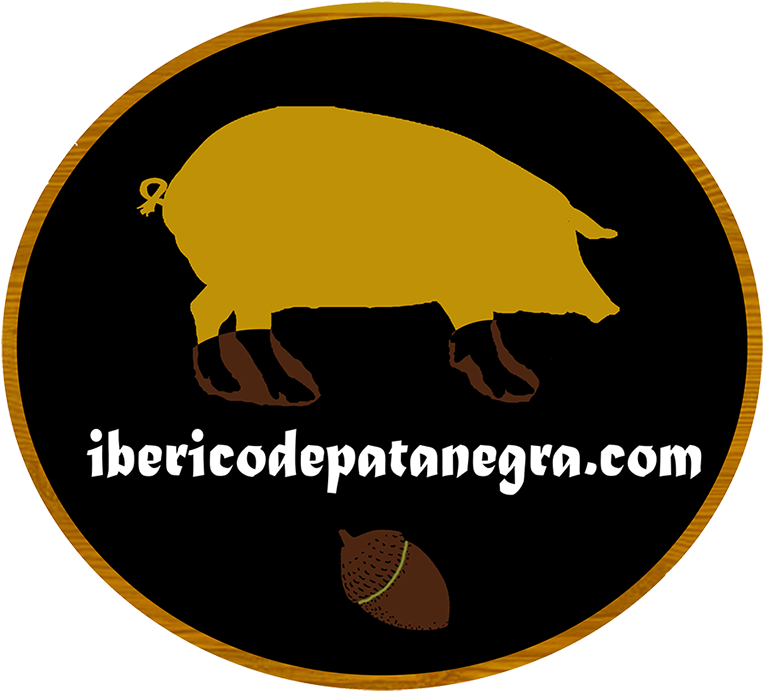 Paleta 100% Ibérica De Bellota “pata Negra” Sierra - Boar (1024x724)