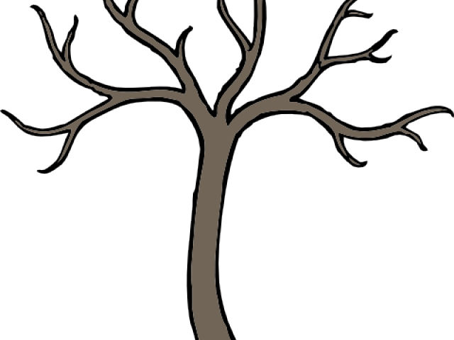 Dead Tree Clipart Root - Bare Tree Clip Art (640x480)
