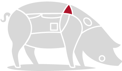 Pluma De Bellota 100% Ibérica - Domestic Pig (508x300)