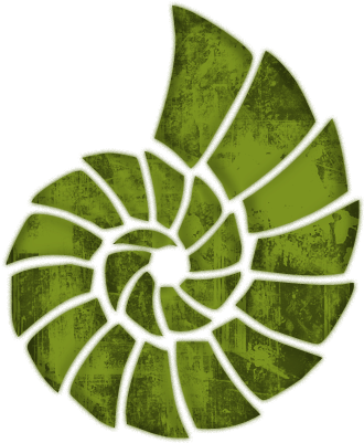 Sea Shell Clipart - Sea Shells Stencils (512x512)