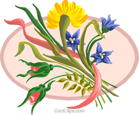 Wildflower Bouquet Royalty Free Vector Clip Art Illustration - Flower (480x399)