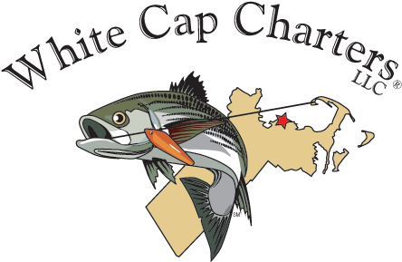 Fishing Charters And Whale Watch Tours In Cape Cod - Scituate (461x296)