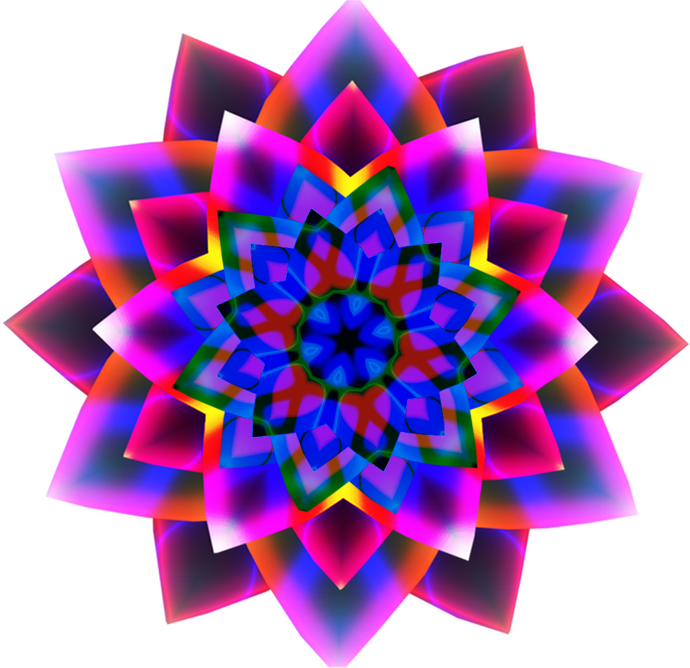 Wild Flower Fractal By Debzb17 Wild Flower Fractal - Fractal Art (972x940)