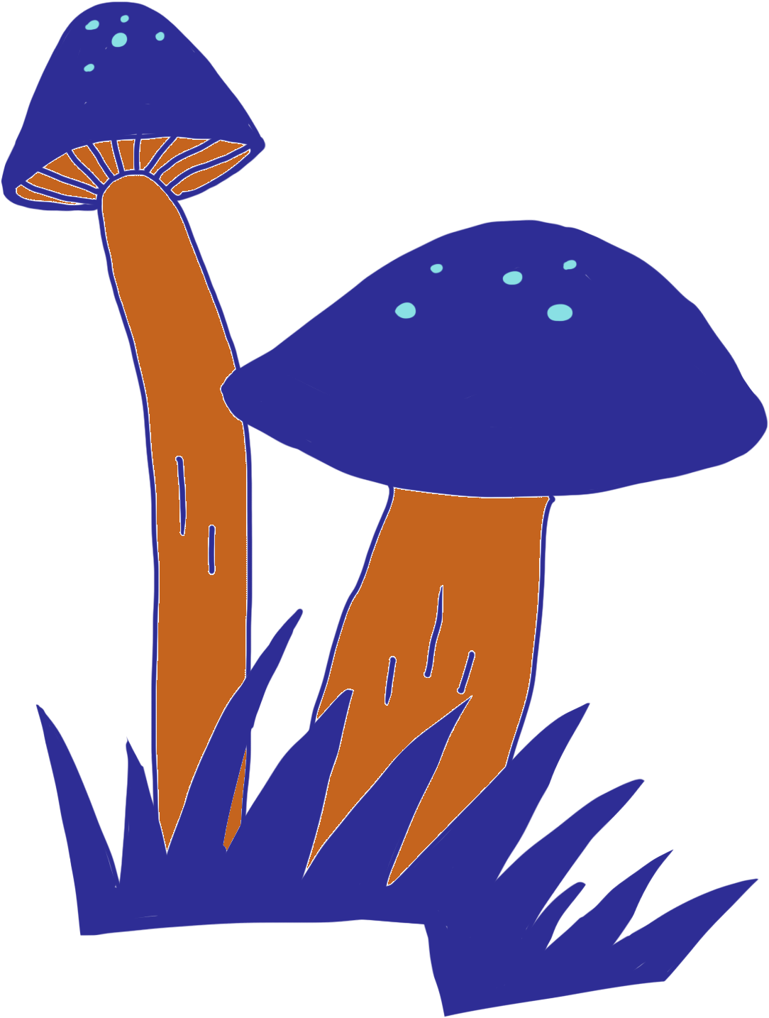 Scientists Have Used Carbon Dating And Archaeological - Edible Mushroom (1327x1617)