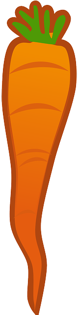 Food, Plants, Vegetables, Carrots, Plant - Wortel Transparant (320x640)