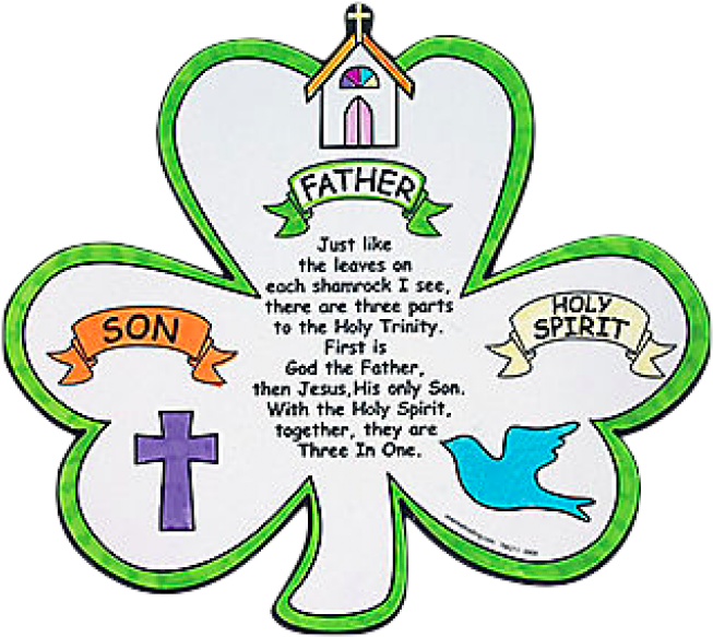 Shamrock - Holy Trinity - Story Of St Patrick (700x626)