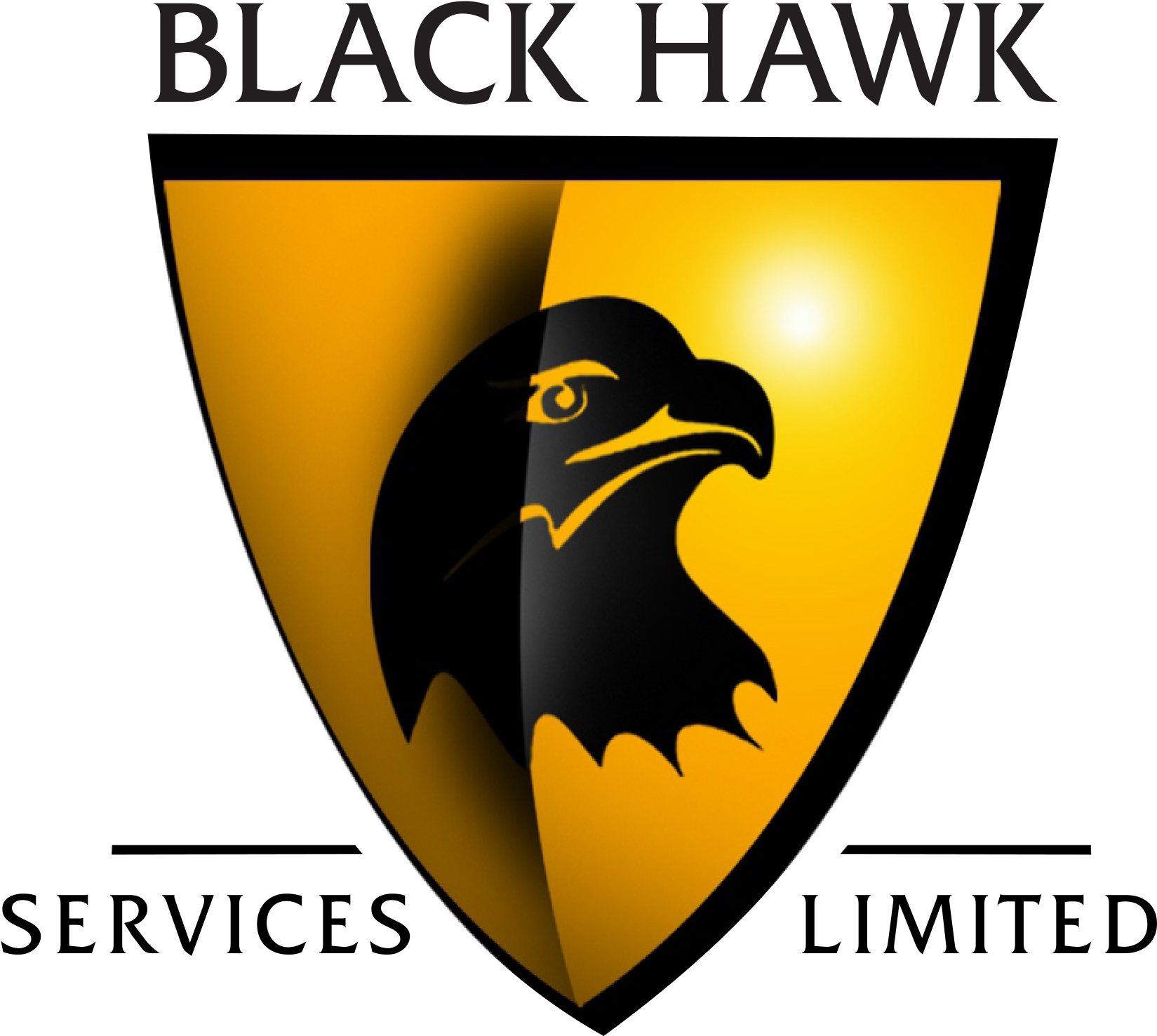 Black Hawk Security Logo (1800x1600)
