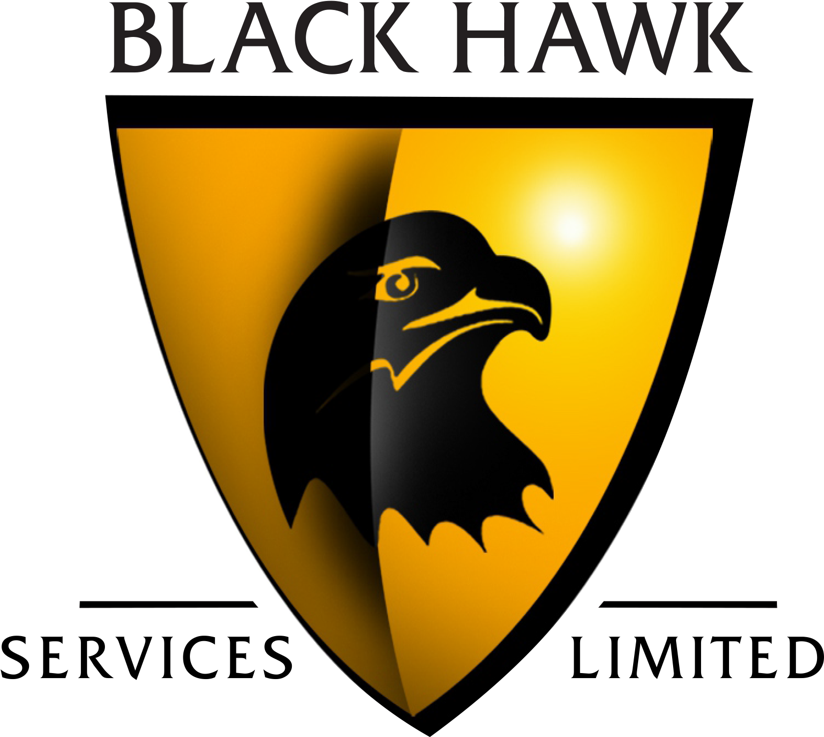 Хавк сервис. Hawk. Blackhawk logo. Hawk International logo.