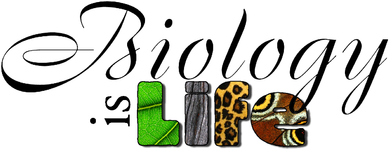 Story Image 1 - Biology Project Cover Page Design (800x348)
