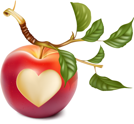 Nutritious Apple On Branch With Heart - Portable Network Graphics (500x453)