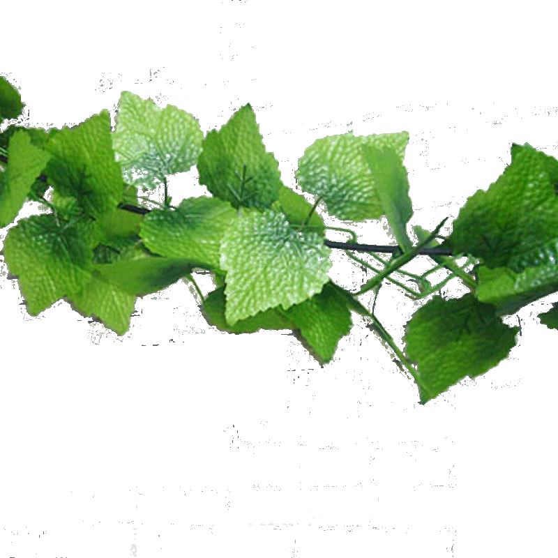 Su Shi Rattan Wall Hanging Fake Flower Vine Decorative - Herbal (800x800)