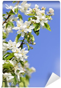 Stock Photography (400x400)