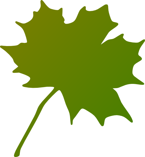 Green Maple Leaf Clipart (552x597)