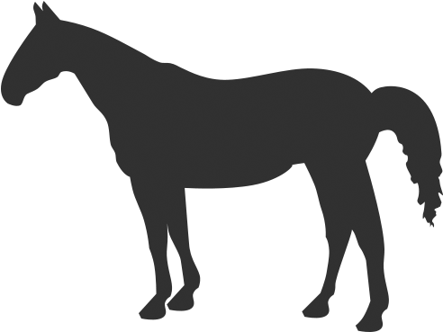 Horse Silhouette Quarter Horse (500x500)