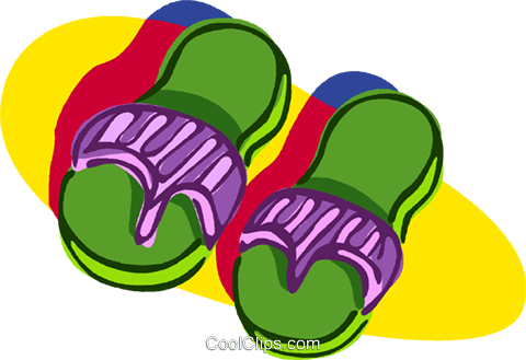 Sandals, Flip Flops, Beach Shoes, Slipper Royalty Free - Flip Flops Clip Art (480x329)