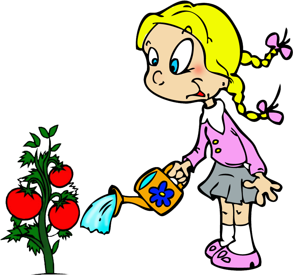 Dibujos Para Colorear Niños Sembrando Plantas ~ Ideas - Tomato Plant Clip Art (990x935)