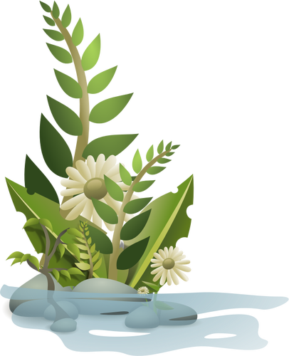 Vector Graphics Of Selection Of Plants In Water - Plant Clip Art (406x500)