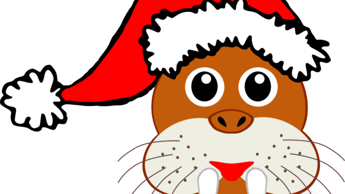 Santa Hat Clipart Photos - Seal Santa Note Cards (pk Of 10) (678x381)