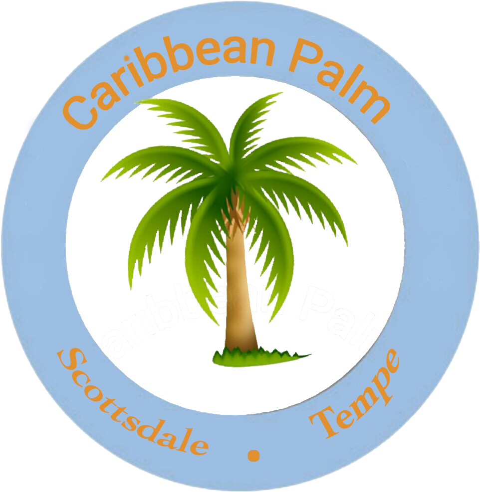 Palm Tree Clipart Caribbean Food - Palm Tree Clip Art (1021x1024)