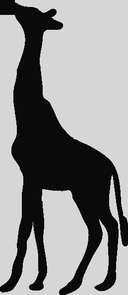 Giraffe Head Clipart Black And White Giraffe Clipart - Giraffe Silhouette Png (258x594)