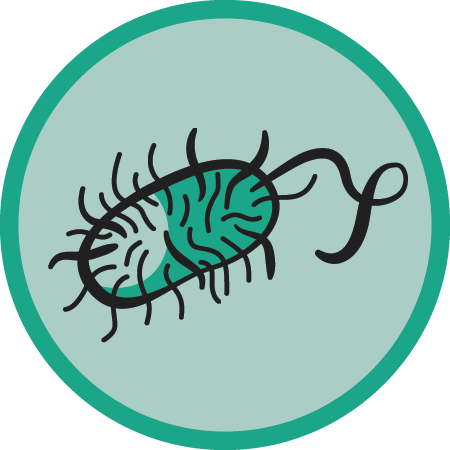 Food Safety And Sanitation - Food Safety And Sanitation (450x450)