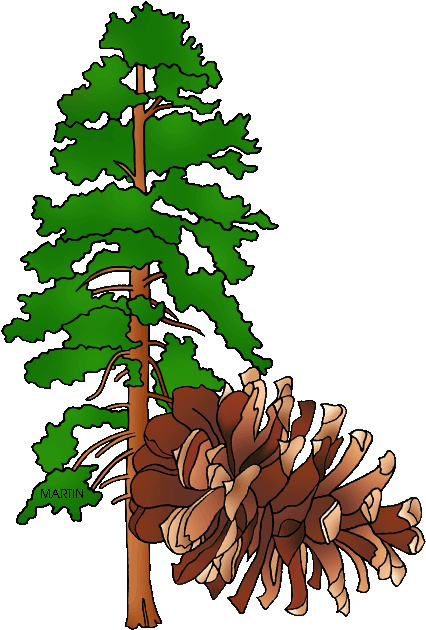 State Tree Of Montana - Fallen Tree On House Clipart (447x648)