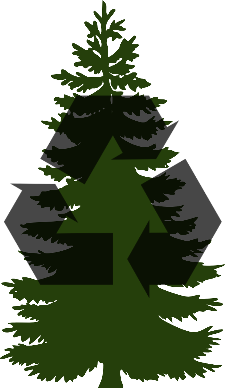 Pine Tree Clip Art (744x1280)