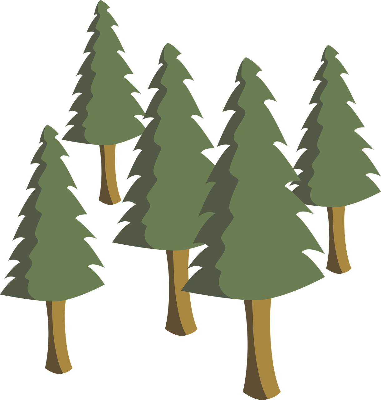 Trees Pines Pine Trees Tree Png Image - Pinos Png (1221x1280)