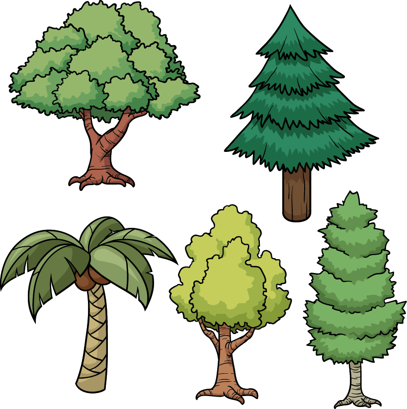 Tree Drawing Cartoon Pine - Cartoon Picture Of Trees (819x824)
