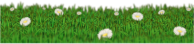 Rumput Hijau Png (640x320)