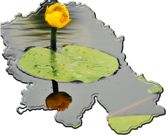 Due To Its Outstanding Natural Resources, Wonderful - Pond (577x467)