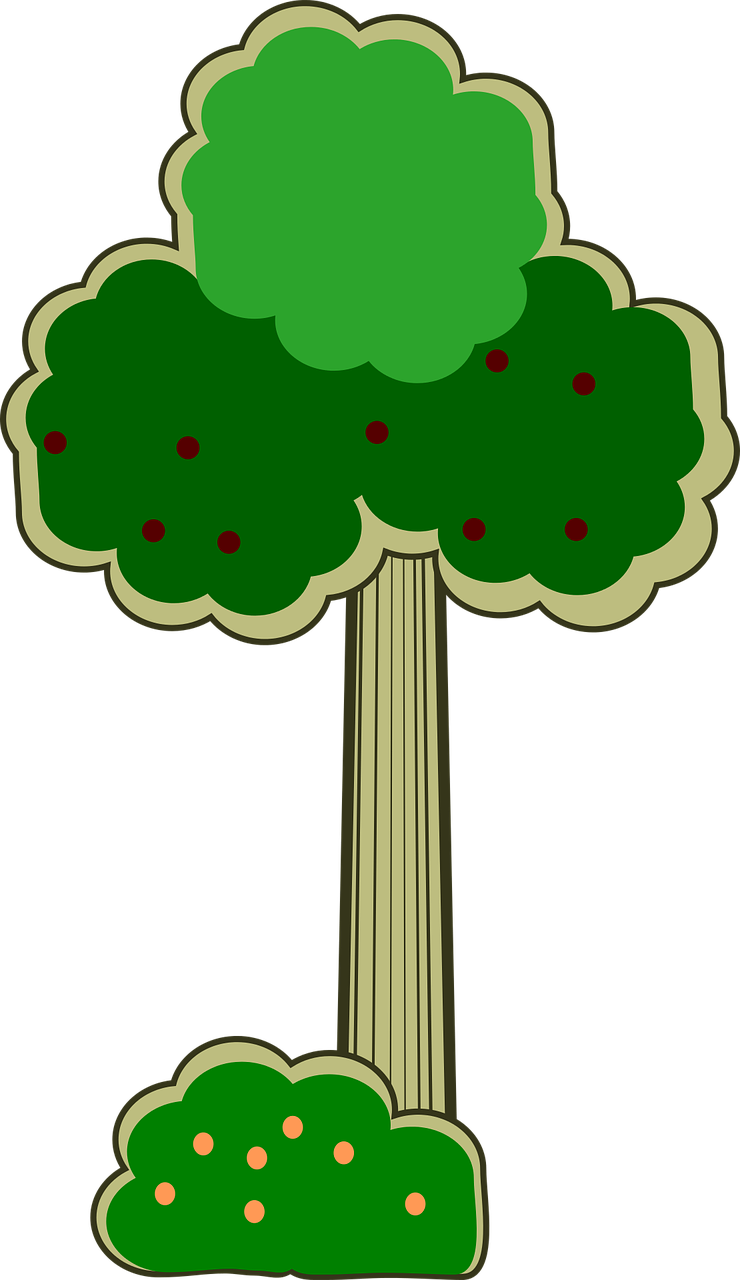 Park, Tree, Leaf, Green, Bush, Forest, Nature - George W. Bush (740x1280)