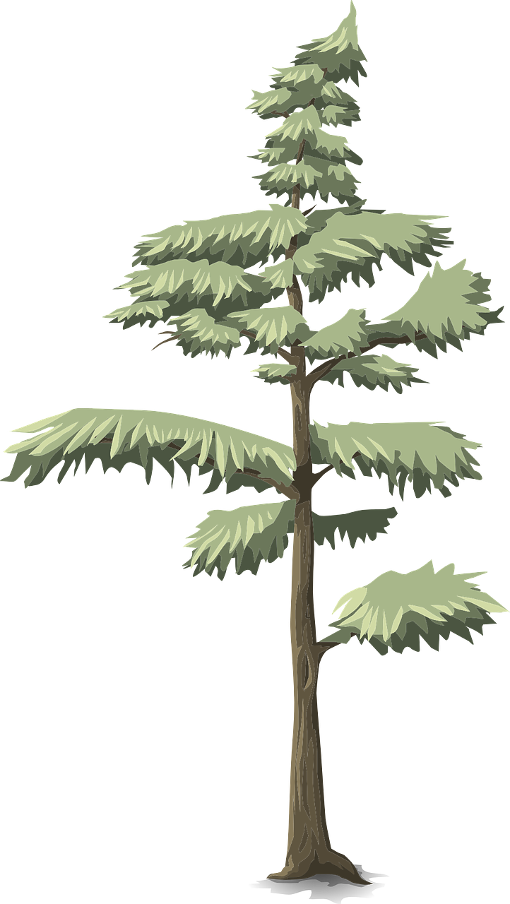 Forest, Tree, Conifer, Green, Nature, Forest - Tree (722x1280)