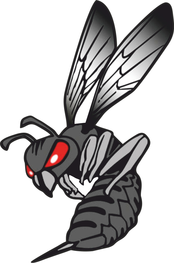 Black Hornet Nano Bald-faced Hornet Honda Logo Clip - Boeing F/a-18e/f Super Hornet (589x892)