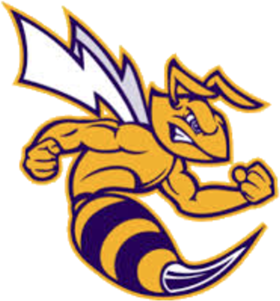 Hornet Clipart Concordia - Angola High School Football (720x662)