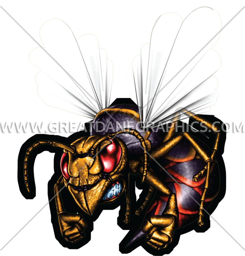 Hornet Offset Metal Novelty License Plate Lp-3747 (825x1005)