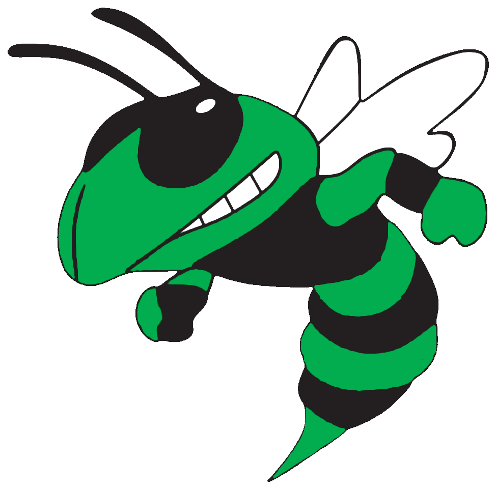 Hornet Clipart Albany - 10x3 Green Hornet Believe And Achieve Bumper Sticker (1000x1000)