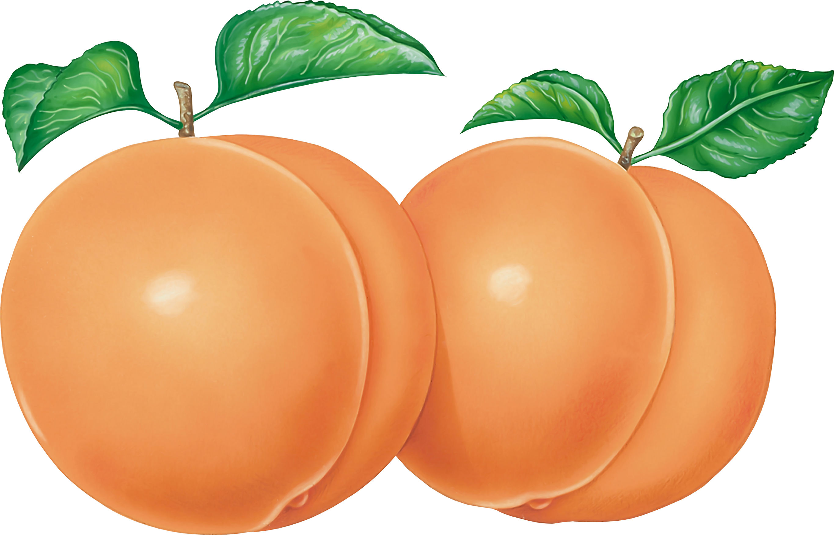 Peach Clip Art Png (2730x1751)