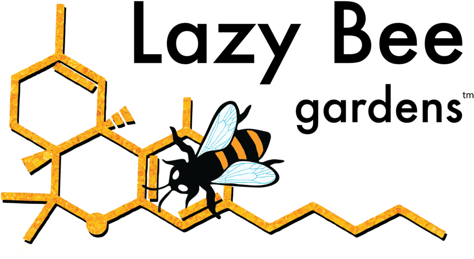 Vendor Day @ Chimmacum Cannabis - Vendor Day @ Chimmacum Cannabis (1000x553)