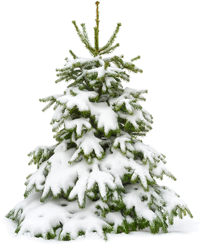 Snowy-tree By Ulechka2002 - Robot Lawn Mower Kobi (399x489)