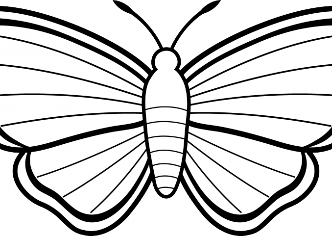 Butterfly Black And White Clip Art Clipart Of Butterflies - Colouring Images Of Butterfly (678x481)