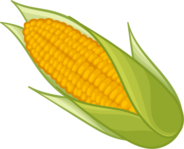 Ear Of Corn Clipart Black And White Download - Corn Clip Art Png (738x600)