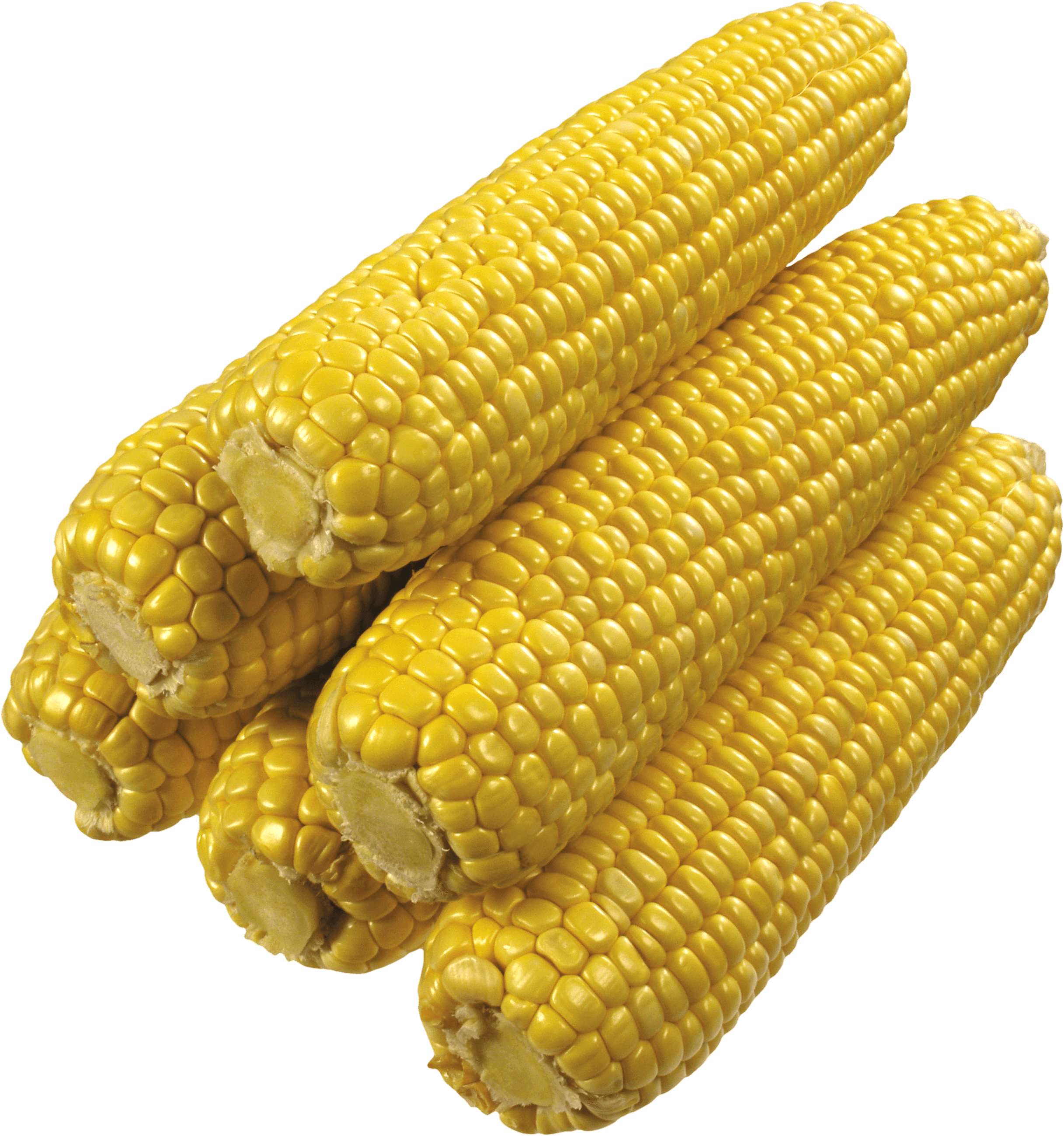 Corn Clipart Transparent Food - Corn Clipart Transparent Food (2434x2599)