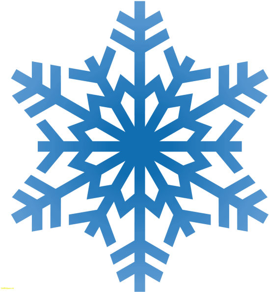 Pictures Of Snowflakes Best Of - Snowflake Clipart Transparent Background (1600x1600)