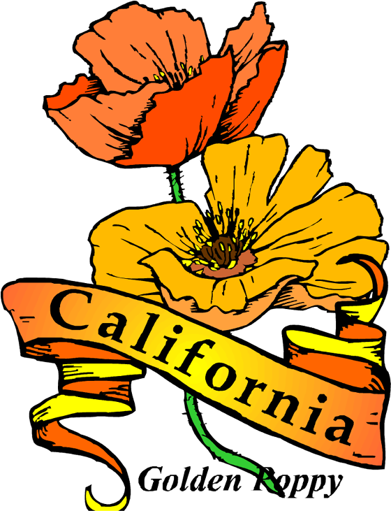 California Poppy - California Throw Blanket (579x750)