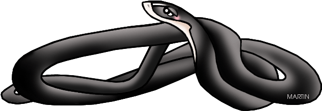 Ohio State Reptile - Black Snake Clip Art (648x255)