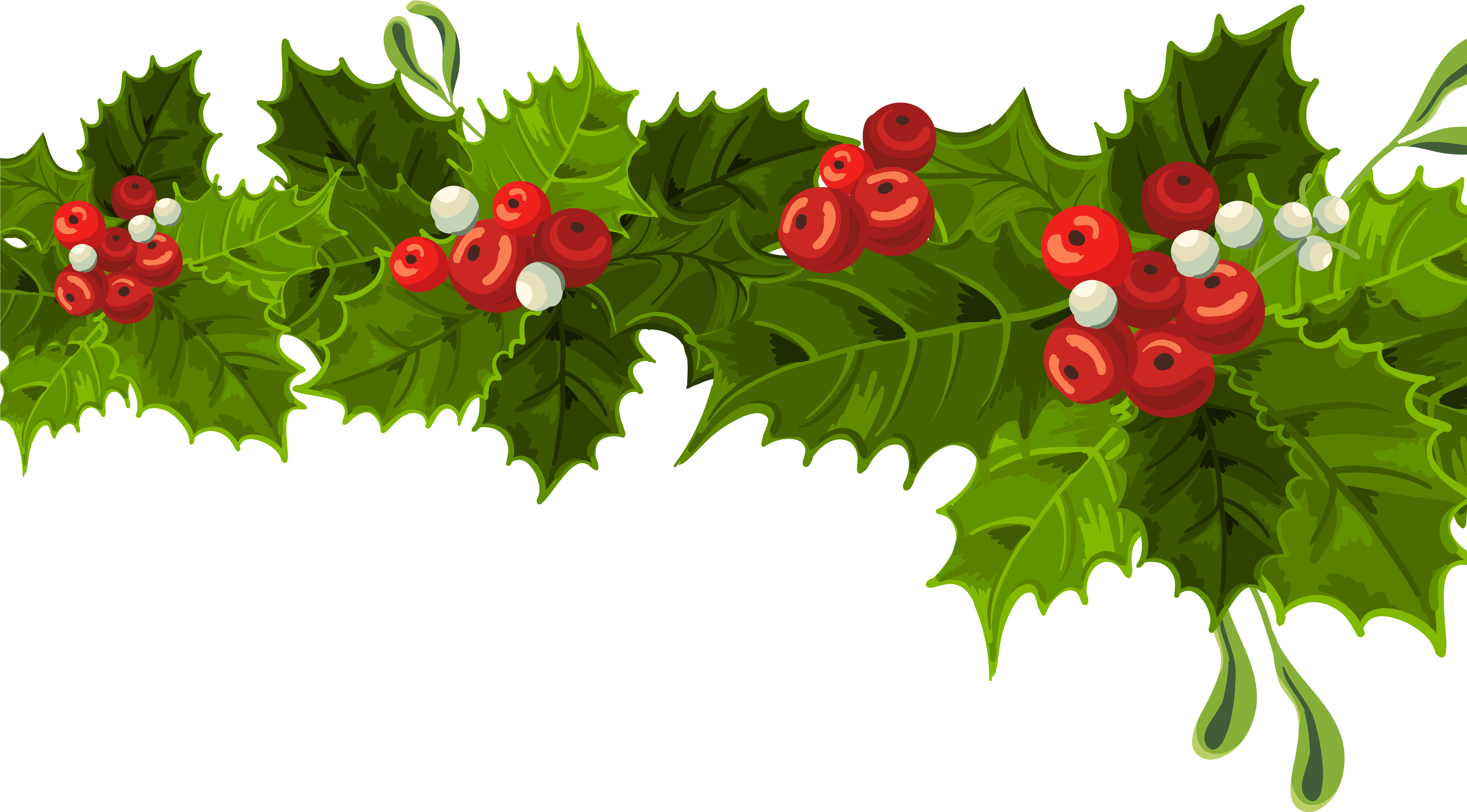 Pictures Of Christmas Decorations Clipart - Mistletoe Christmas Decoration (5900x3312)